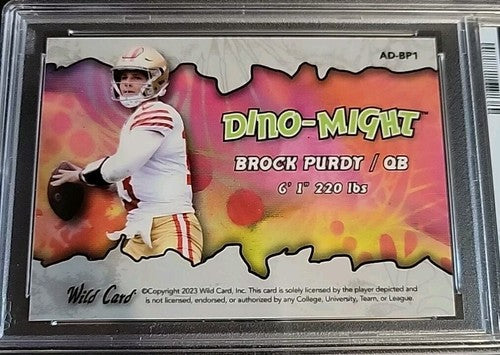 2024 Wild Card Purple Alumination DM  Brock Purdy 3/5 #AD-BP1 TRex PSA 10 Gem MT