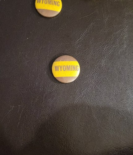 ￼ Wyoming ￼ Vintage 1940s 1950s Pin 1 1/4” inches