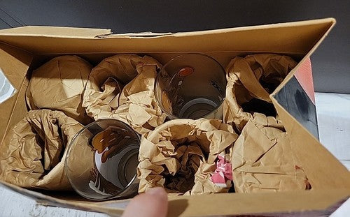 Vintage Dairy Queen Portland Trail Blazers Carrying Case Set Of 8 Glasses 1993