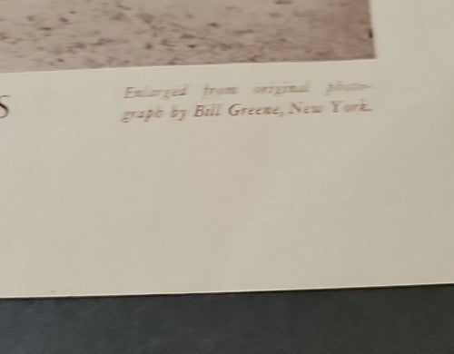 Vern Stephens Boston Red Sox  M114 BASEBALL MAGAZINE SUPPLEMENT PHOTO 1938