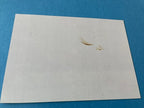 Brett Farve  Hologram Photo Green Bay Packers Lambeau Leap NFL Films Players