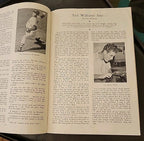 1946 Program  Boston Globe Red Sox AL Champs Mag w/ FULL POSTER Ted Williams
