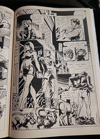 SAN FRANCISCO Comic Book #4 Underground Comix 1973